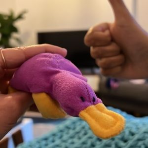 Meet your Posher, Christie & sonya